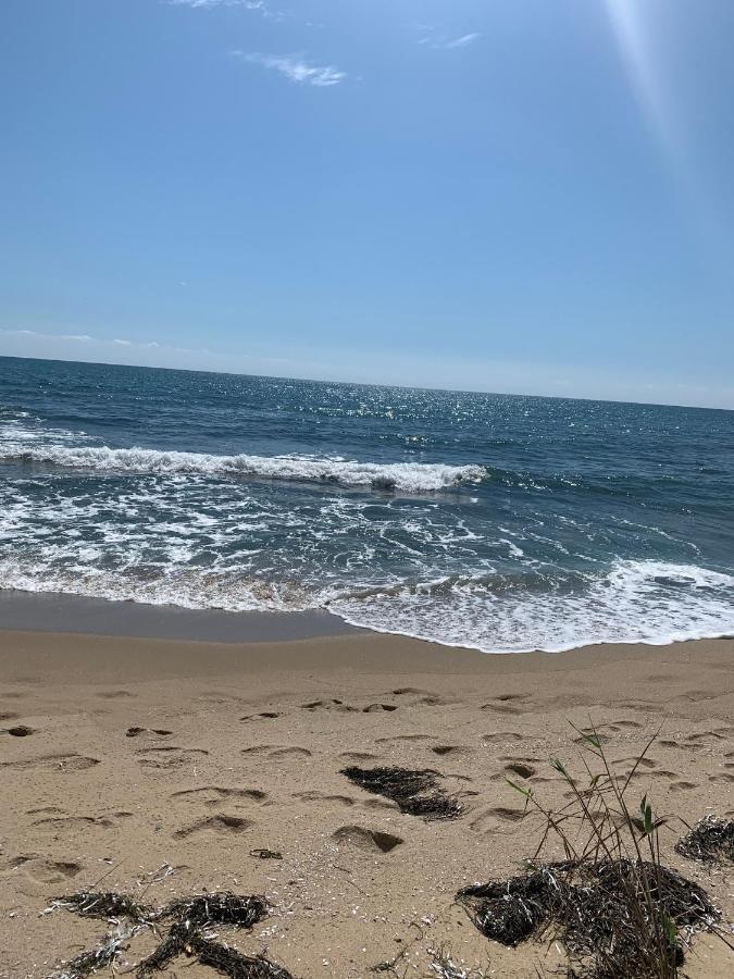 Аппартамент Pines Beach Resort Byala  Eksteriør billede